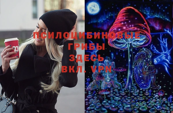 стафф Лабытнанги