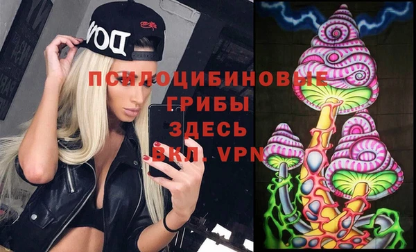 первитин Ладушкин