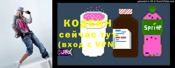 стафф Лабытнанги