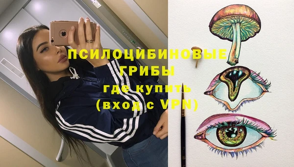 стафф Лабытнанги